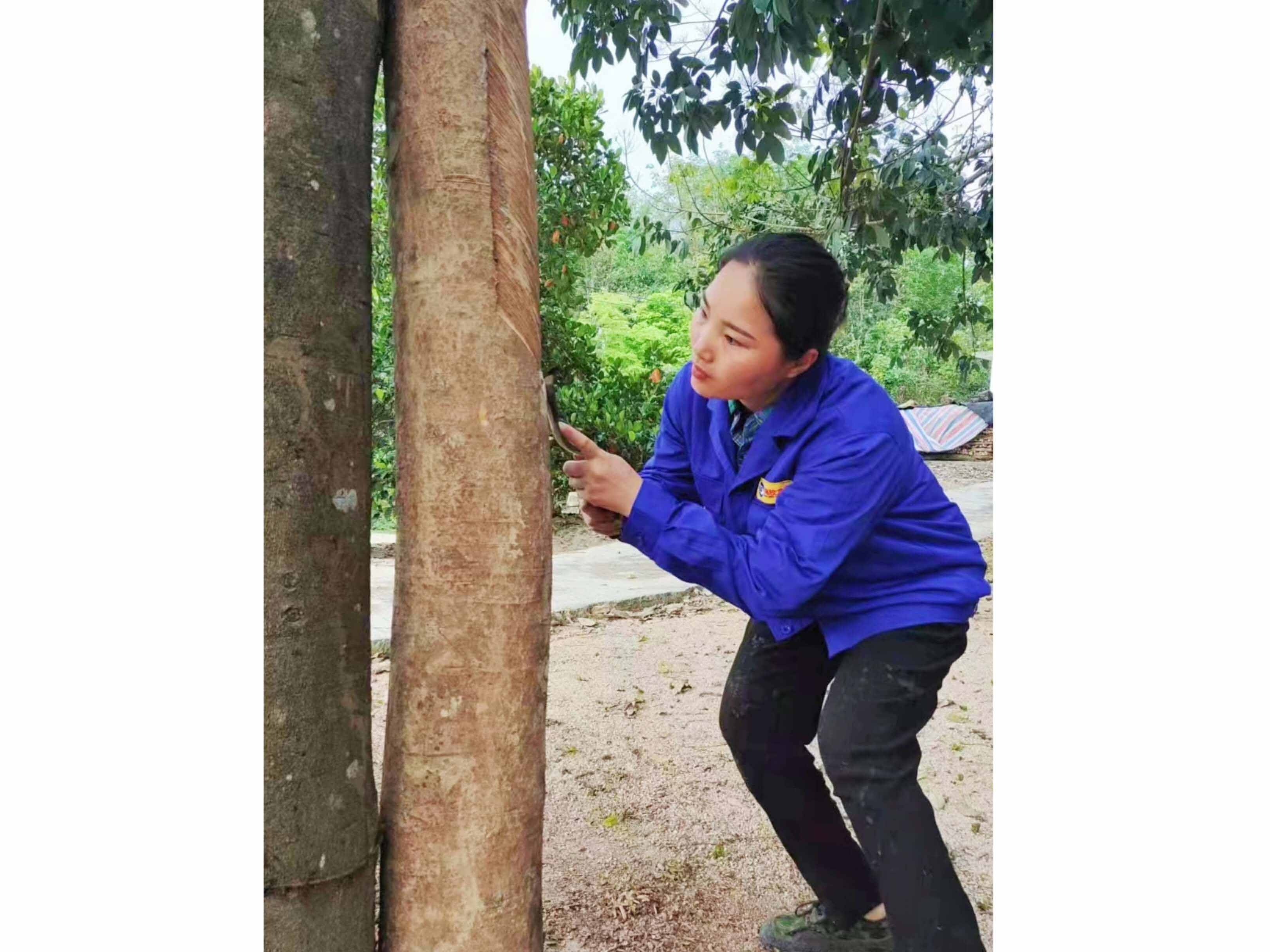 1c7a1e15f3d047c394350187ad9e15fd