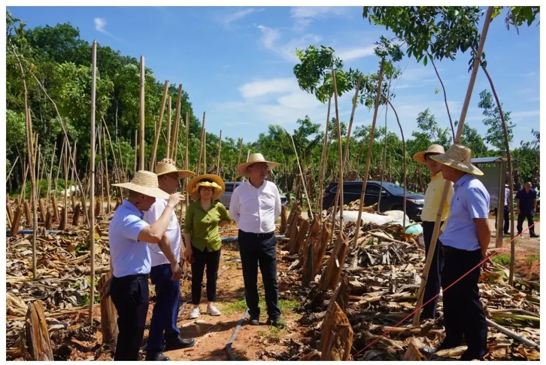 5100bb407043475d937f84d628166948