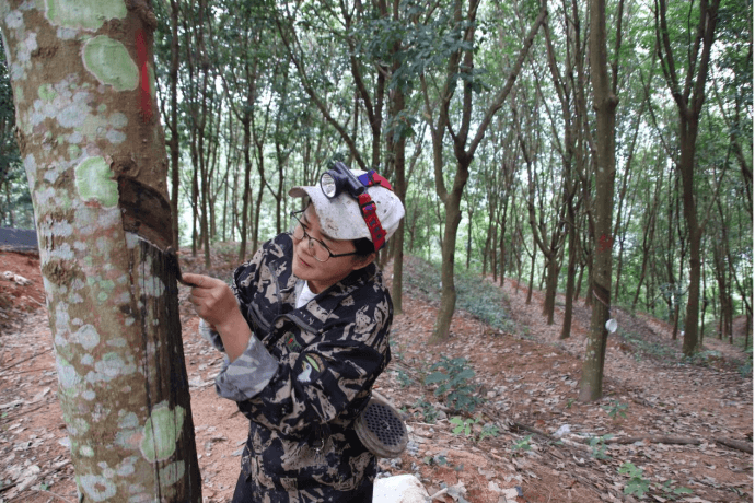 58fde6132b9f417683ea01a196911ae4