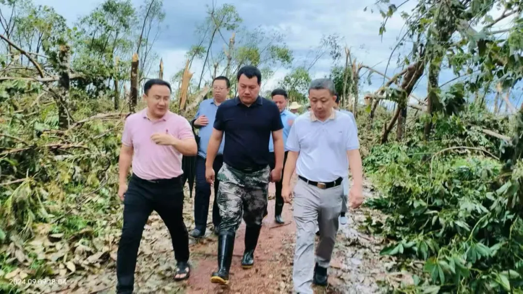 bd5e2101ec0d4b41abd8045c590d287c