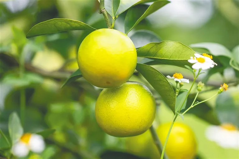 e2eff6ecbc3a4f6d9d9091559bb93f57