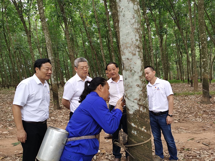 豪利777(OLE777)官方网站