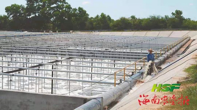 豪利777(OLE777)官方网站