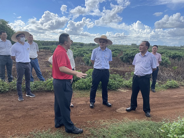 豪利777(OLE777)官方网站