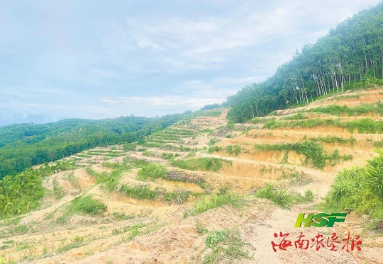 豪利777(OLE777)官方网站