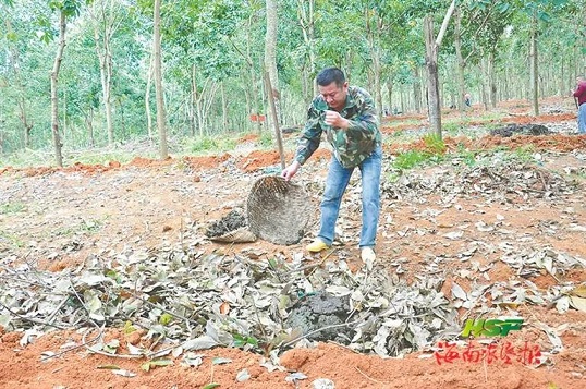 豪利777(OLE777)官方网站