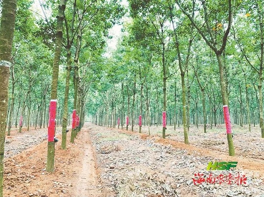 豪利777(OLE777)官方网站