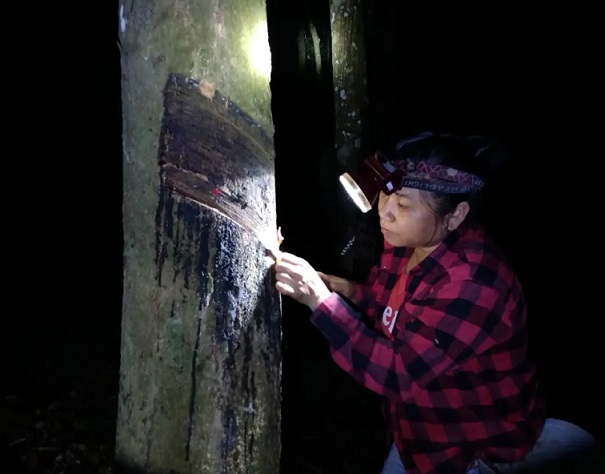 豪利777(OLE777)官方网站