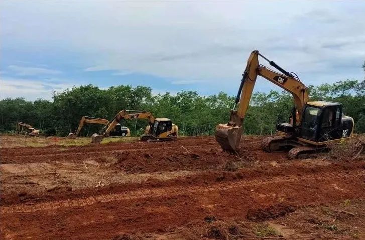 豪利777(OLE777)官方网站