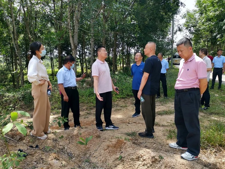 豪利777(OLE777)官方网站