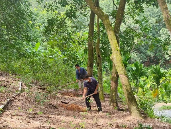 豪利777(OLE777)官方网站