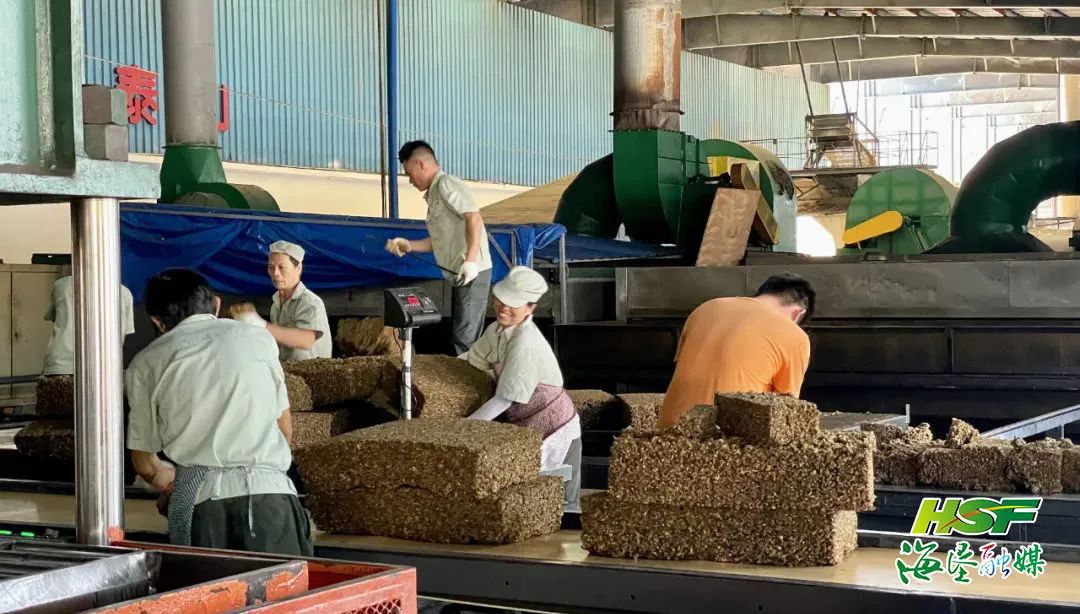 豪利777(OLE777)官方网站