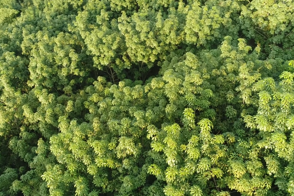 豪利777(OLE777)官方网站