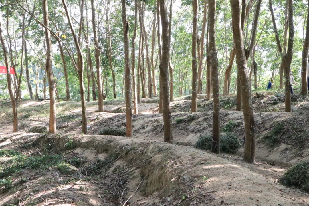 豪利777(OLE777)官方网站