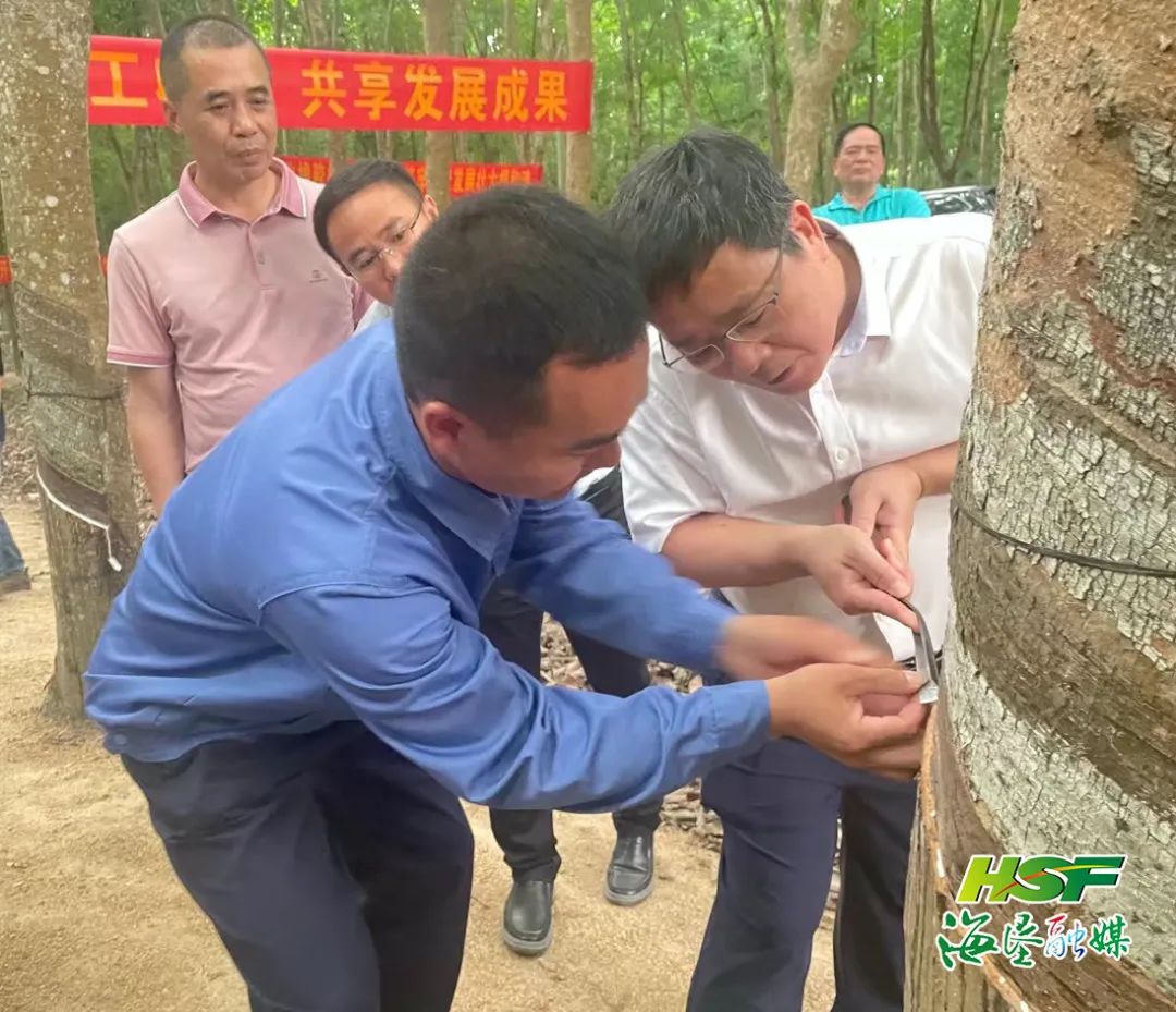 豪利777(OLE777)官方网站