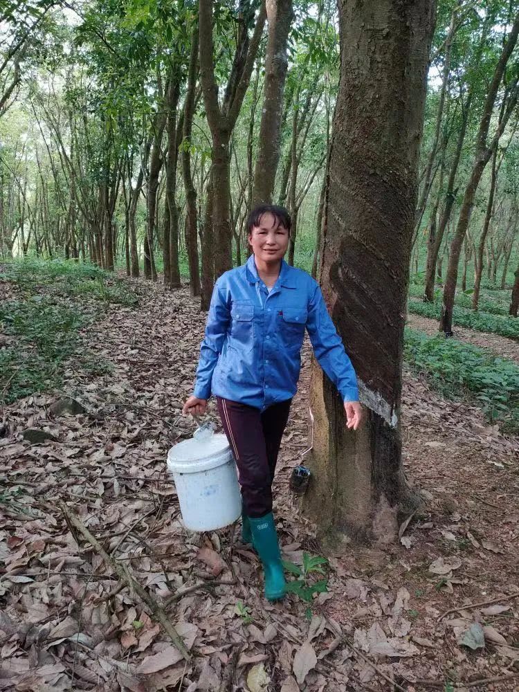 豪利777(OLE777)官方网站