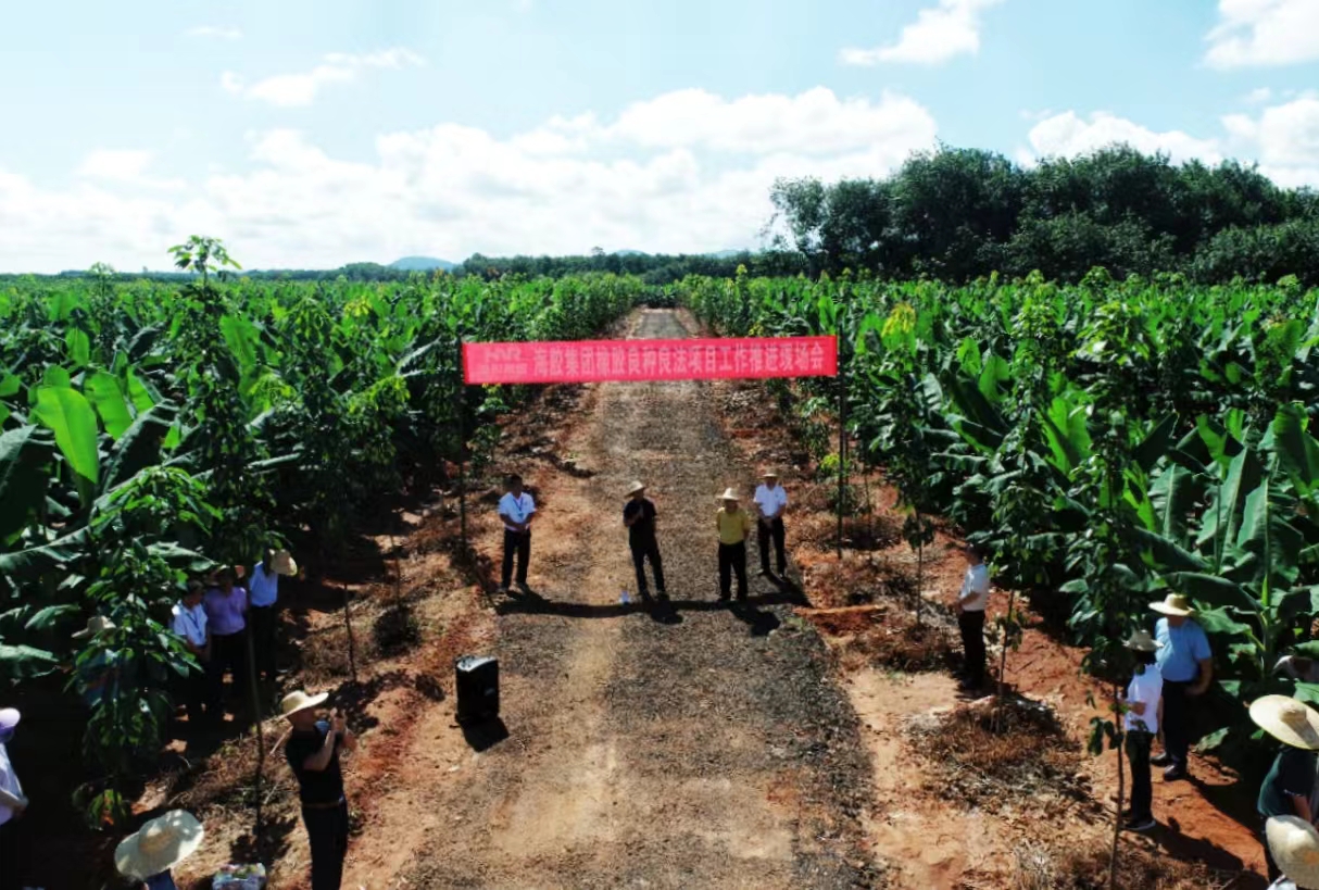 豪利777(OLE777)官方网站