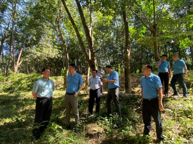 豪利777(OLE777)官方网站